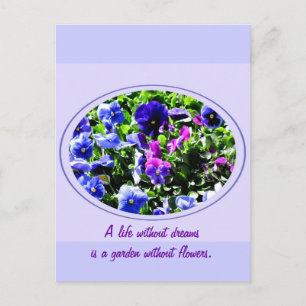 Pansy Postkarte