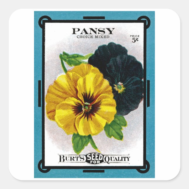 Pansy Quadratischer Aufkleber (Vorderseite)