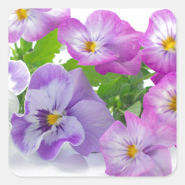 pansy quadratischer aufkleber