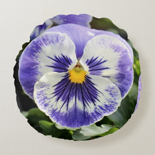 Pansy Rundes Kissen (Vorderseite)