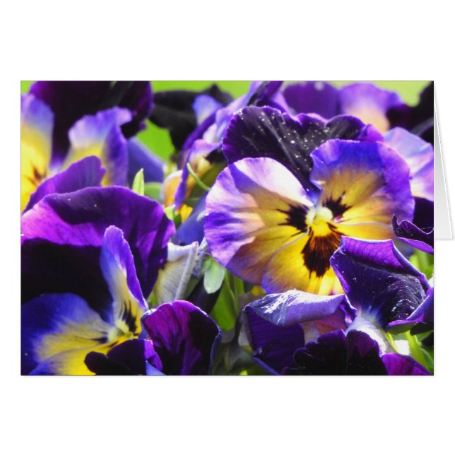 Pansy Small Thank You Cartes, Small (4" x 5,6") (Devant Horizontal)