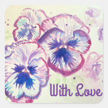 Pansy Stiefmütterchen Lila Blume Blumenrosa mit Li
