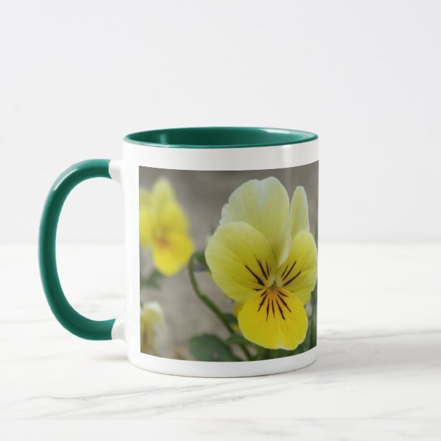 Pansy Tasse (Links)