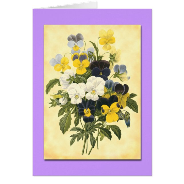 Pansy Violets Blank Botanische Art Cards (Vorne)