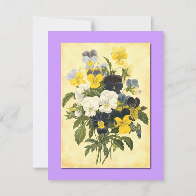 Pansy Violets Blank Botanische Art Cards Karte (Vorderseite)