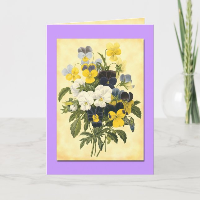 Pansy Violets Blank Botanische Art Cards Karte (Vorderseite)