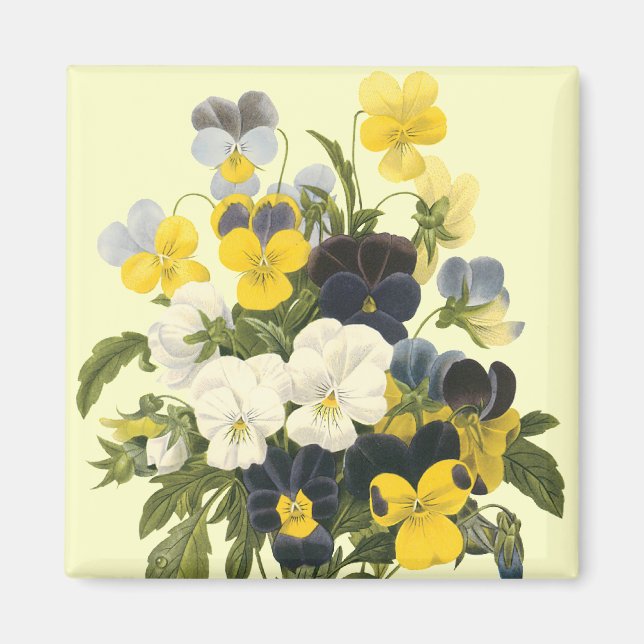 Pansy Violets Botanische Kunst Magnet (Vorne)