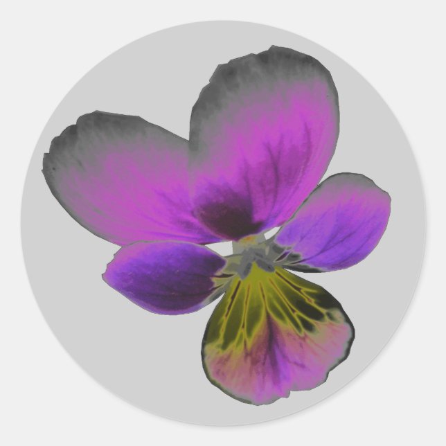 Pansy Wild Dark Lila Sticker (Vorderseite)