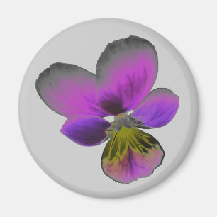 Pansy Wild Dark Purple Magnet