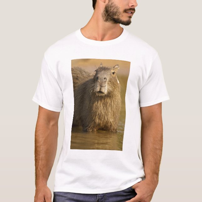 Pantanal, Brasilien, Capybara, Hydrochoerus T-Shirt (Vorderseite)