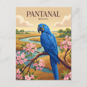 Pantanal Brasilien Postkarte