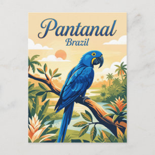 Pantanal Brasilien Postkarte