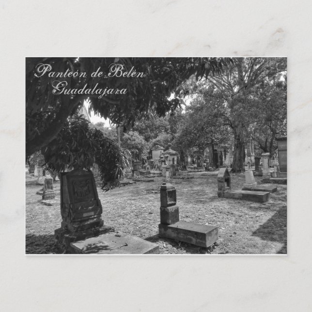Panteón de Belén Blanco y Negro Postkarte (Vorderseite)