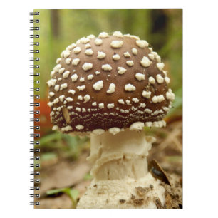 Panther Cap Mushroom Foto Notebook Notizblock