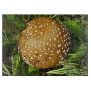 Panther Cap Mushroom Glass Chopping Board Schneidebrett