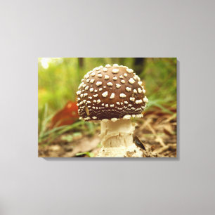 Panther Cap Pilz Canvas Print Leinwanddruck