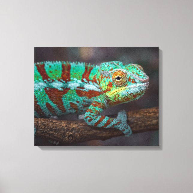 Panther Chameleon Canvas Print Leinwanddruck (Vorderseite)