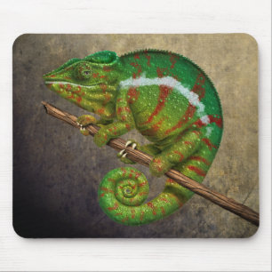 Panther Chameleon Digitales Gemälde Mousepad