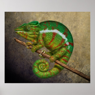 Panther Chameleon Digitales Gemälde Poster