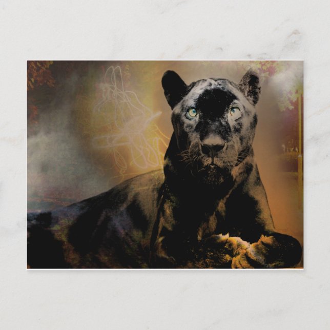 Panther-Puls Postkarte (Vorderseite)