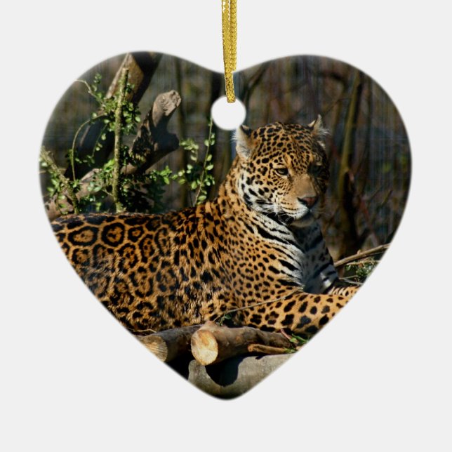 Panthera-Jaguar-Verzierung Keramik Ornament (Vorne)