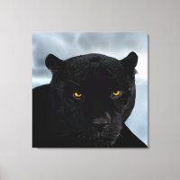 Panthera