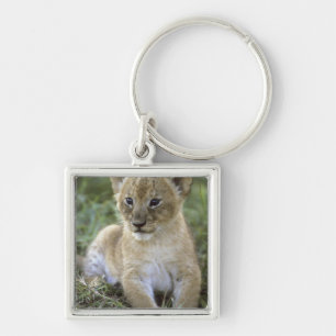 Panthera leo), Tansania, Schlüsselanhänger