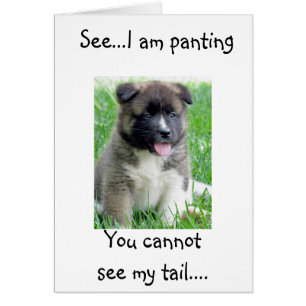 PANTING & SCHWANZ WAGGING PUP IN LIEBE!