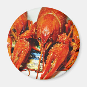 PanzerkrebseCrawdads Craytfish Magnet