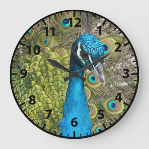 Paon Paons Oiseaux Horloge