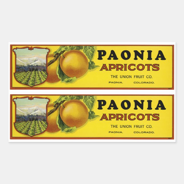 Paonia Apricots - Filmtabletten Rechteckiger Aufkleber (Vorderseite)