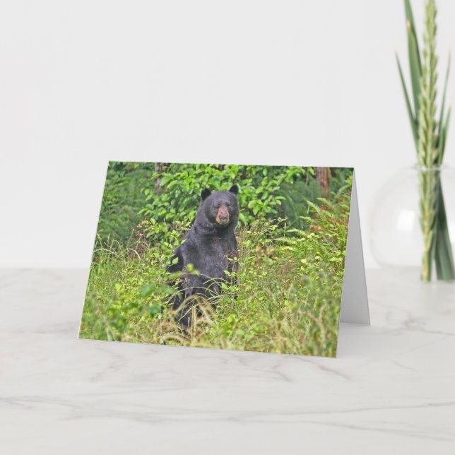 Papa Bear Vatertag Karte (Vorderseite)