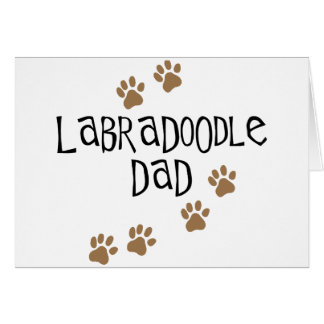 Papa de Labradoodle