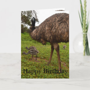 Papa Et Bébé Emu Chicks, Carte De Voeux Anniversai