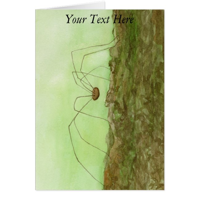 Papa Long Jambes (Devant)