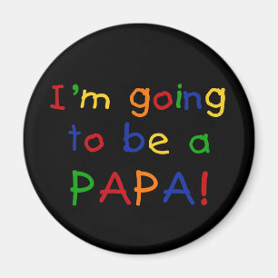Papa - Primärfarben Magnet