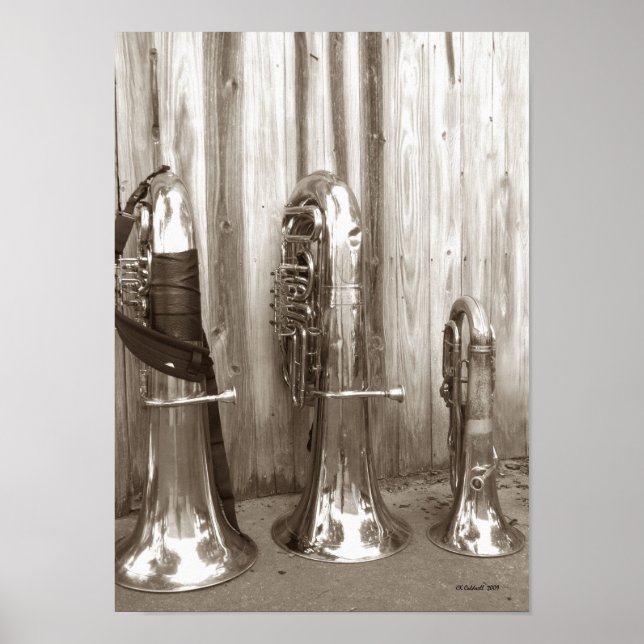 Papa Tuba, Mama Tuba und Baby Tuba Poster (Vorne)