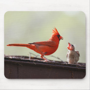 Papa und Baby Kardinal 1 Mousepad