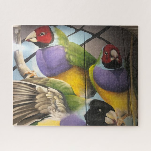 Papageart (Horizontal)
