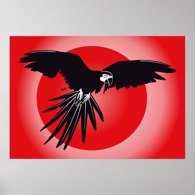 Papagei Ara Poster (Vorne)