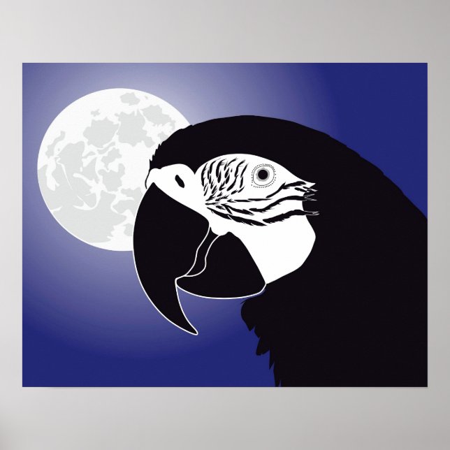 Papagei Ara Poster (Vorne)