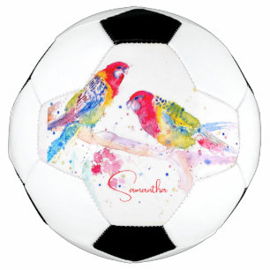 Papagei Art Aquarellmalerei Rot Blau Farbenfroh Fußball