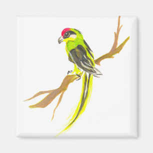 Papagei auf einem Zweig. Aquarellmalerei Magnet