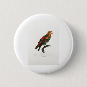 Papagei Button