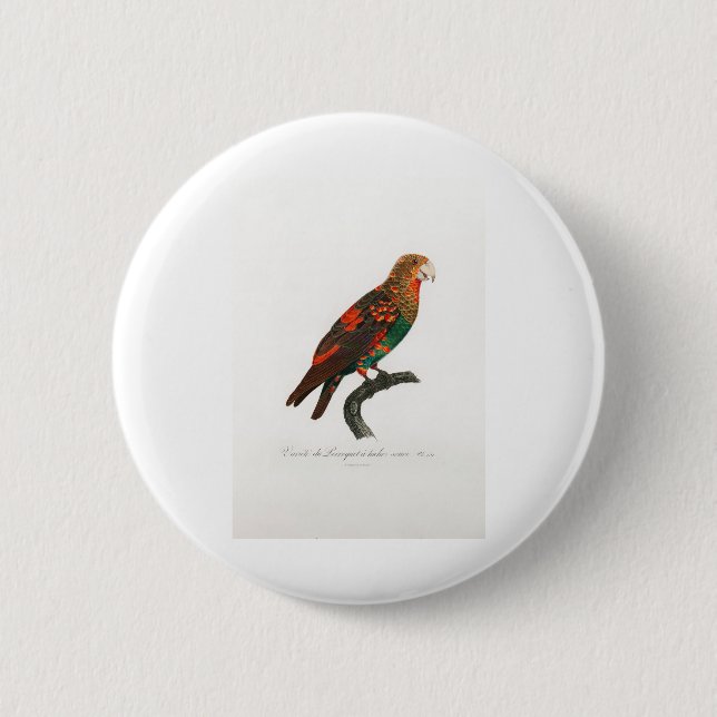 Papagei Button (Vorderseite)