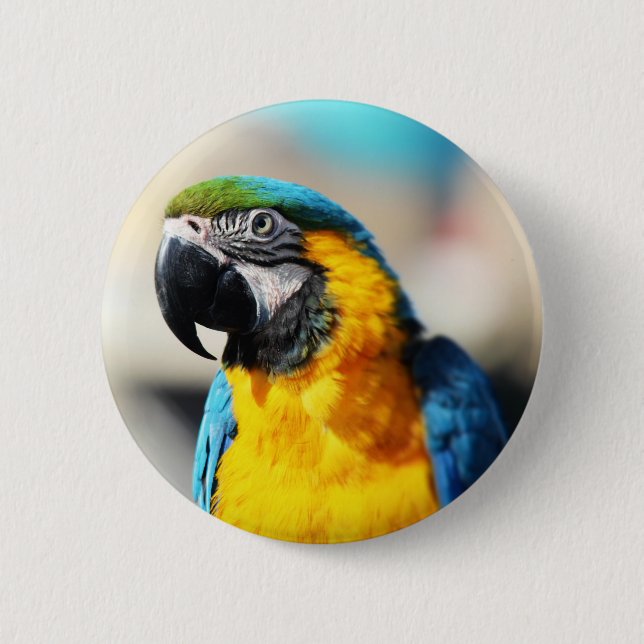 Papagei Button (Vorderseite)