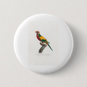 Papagei Button