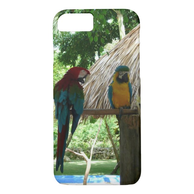 Papagei Case-Mate iPhone Hülle (Rückseite)
