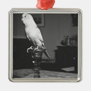 Papagei, der auf Kerzenständer B&W sitzt Ornament Aus Metall
