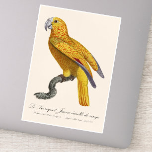 Papagei des Paradieses von Kuba, Psittacus Paradis Aufkleber